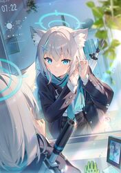 Post 4480940