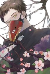 Post 4507670