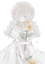Post 4520628