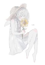 Post 4520625