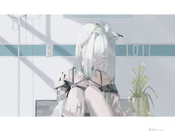 Post 4529835