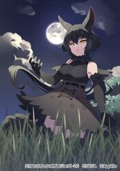 Post 4537894