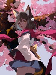 Post 4541231