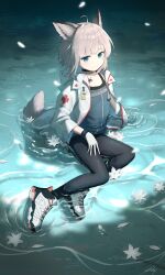 Post 5474834