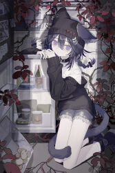 Post 5790121