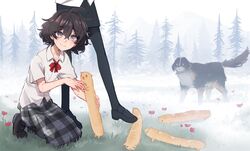 Post 4560960