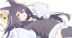 Post 4568923