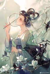 Post 4569069