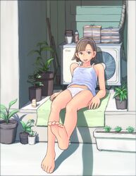 Post 438026