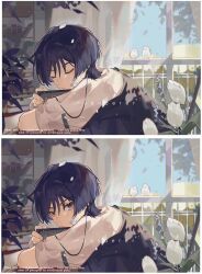 Post 6160411