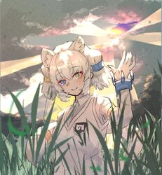 Post 4572464