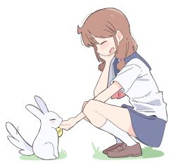 Post 6212093