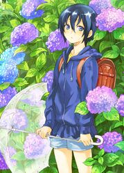 Post 439002