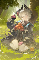 Post 6426019