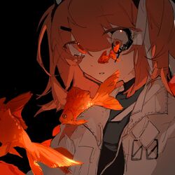 Post 4583715
