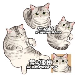 Post 6473197