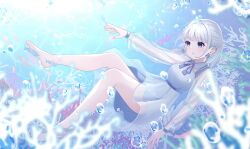 Post 6531088