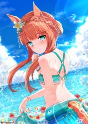 Post 6458209