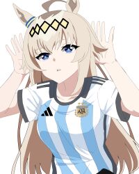 Post 6461046