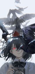 Post 6551166