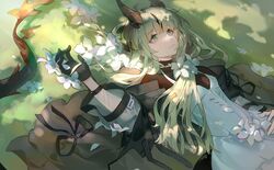 Post 4590508