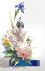 Post 6616436