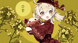 Post 6707841