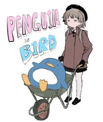 Post 4599065