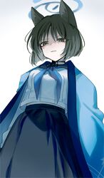 Post 4599876