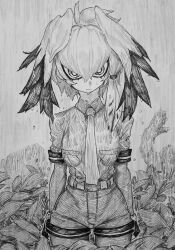 Post 6911773