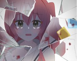 Post 4613016