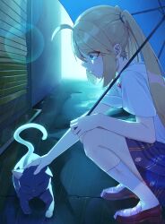 Post 7037720