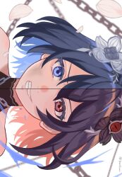 Post 7079385