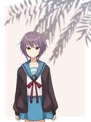 Post 7080729