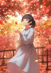 Post 7079251