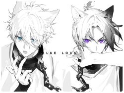 Post 7079245
