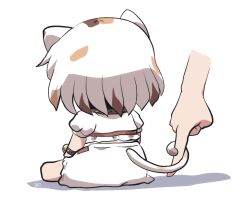 Post 7110249