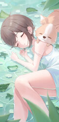 Post 7189091