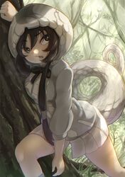 Post 4632807