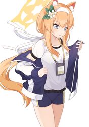 Post 4697311