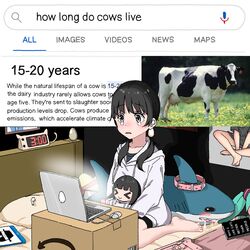 Post 4711455