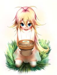 Post 453269