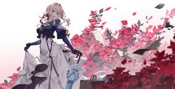 Post 4746724