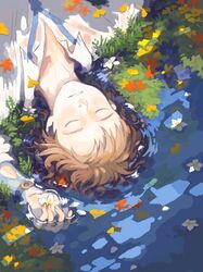 Post 4750445