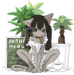 Post 4791426
