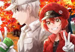 Post 4794376