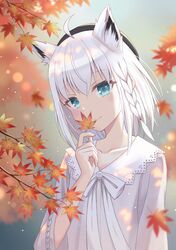 Post 4794951
