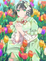 Post 5290091