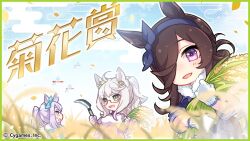 Post 5292029