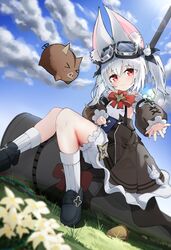 Post 5005813